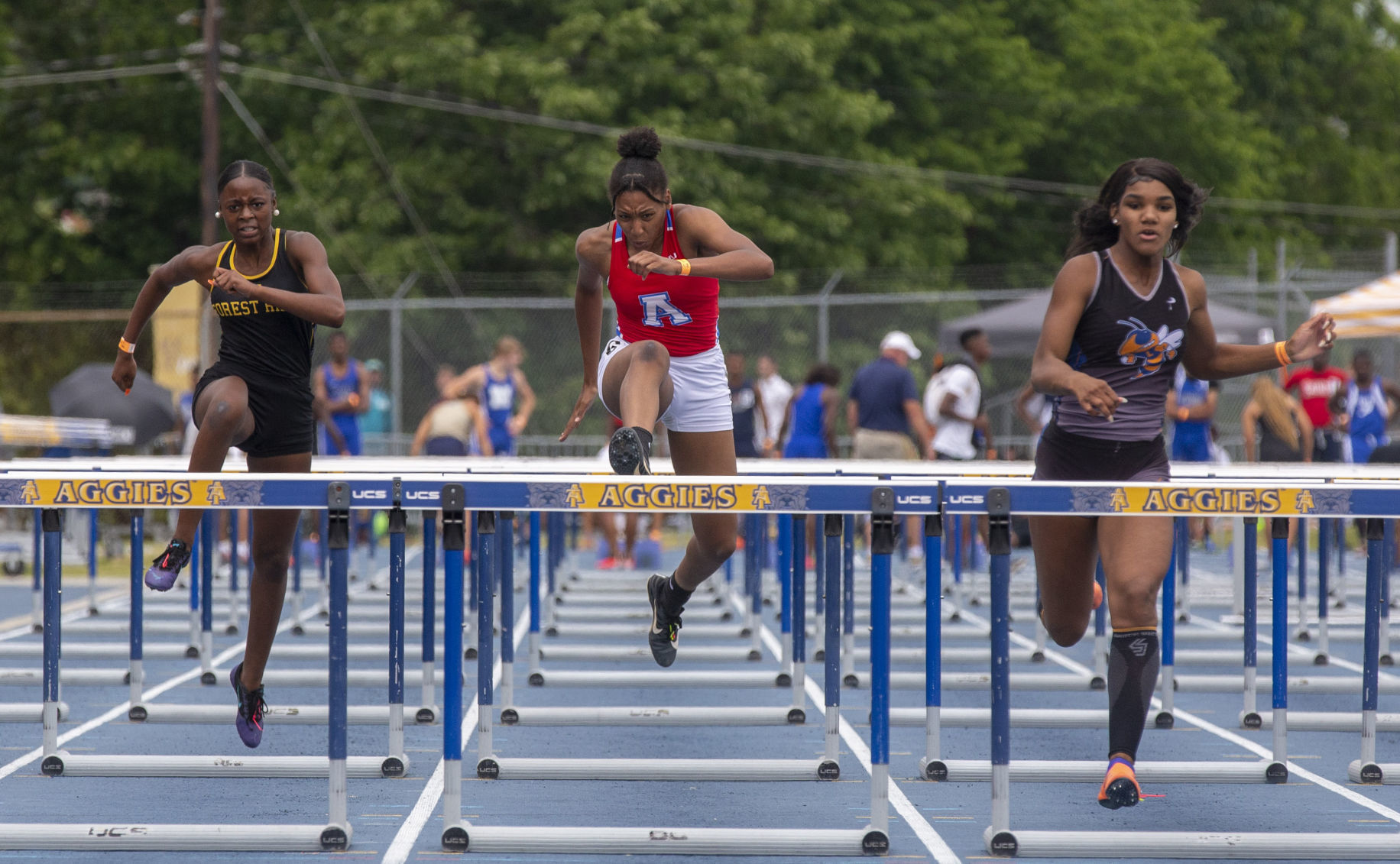 HS Track